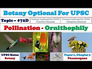 Ornithophily: Pollination by Bird: Floral Adaptation: Ornithophilous Flower and Plant: Bird Pollinator Video Lecture | Botany Optional for UPSC