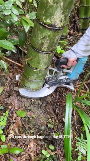 This Powerful "Bamboo Scissor" Tool is a BEAST! 🤯 #tools #gadget
