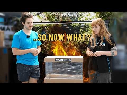 We Asked Aquarium Experts What to Put in a 30L… No One Agreed