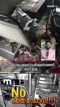 വല്ലാത്തൊരു പണിയായിപ്പോയി!! സ്വകാര്യ ബസിലെ സീറ്റുകൾ കടിച്ചുകീറി തെരുവുനായ | Kottayam | Street Dogs