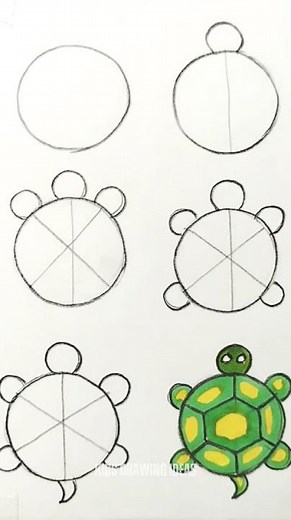 Easy Turtle Drawing Step by Step for Kids