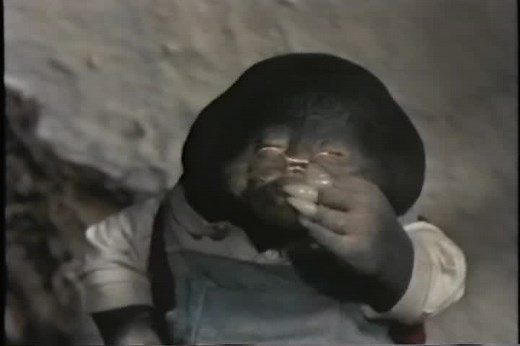 The Wind in the Willows (TV Series 1984–1988)