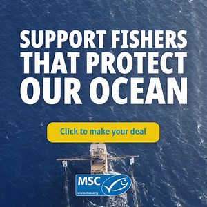 It all starts here... The Ocean is essential to our life on earth. Shouldn't we all help to protect it? Make your deal with the Ocean. #TheOceanAndUs #WorldOceanDay | Marine Stewardship Council - MSC