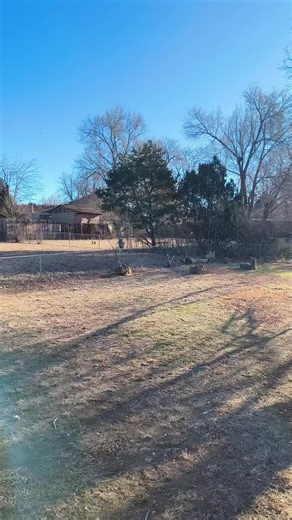 candy Colorado🍭 (@candycolorado)’s videos with original sound - candy Colorado🍭