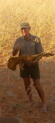 Educational tour by Boesman at Bushman's Dessert Camp, Namibia