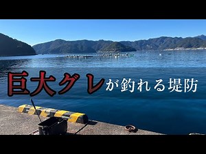 巨大グレが釣れた堤防に1年ぶりに行ってみたらやはり『奴』は居た。