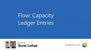 Flow: Capacity Ledger Entries
