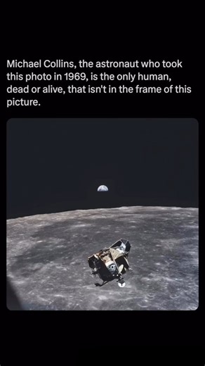 COSMIC CLUSTERS | ASTROPHYSICS | COSMOLOGY on Instagram: "Michael Collins, the command module pilot of Apollo 11, captured one of history’s most iconic photos from lunar orbit in 1969. In the image, the lunar module Eagle carrying Neil Armstrong and Buzz Aldrin is visible as it descends to the Moon’s surface, while Earth floats majestically in the background. Collins, alone aboard the command module Columbia, became “the loneliest man in the universe,” yet he immortalized humanity’s monumental a