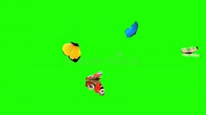 Papillons Volant Sur Un Fond Vert Banque De Vidéos - Vidéo du décoration, saisonnier: 113338534