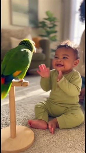 Baby Learns to Clap from a Parrot! 🦜👏 So Cute!