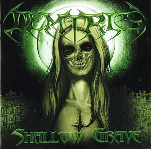 Temtris - Shallow Grave