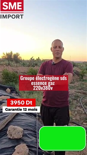 Groupe électrogène essence/gaz 9 kVA à 3950 DT