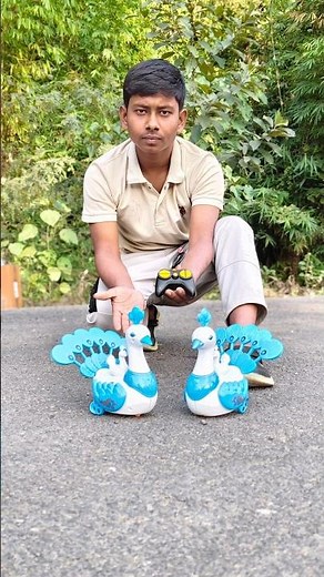 remote control 2 peacock unboxing and review test #toys