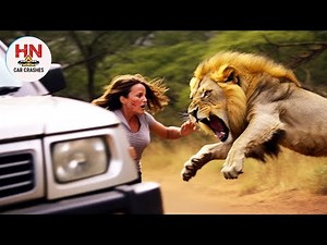 80 Most BRUTAL ANIMAL ATTACKS Caught on Camera #20