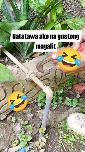 343K views · 626 reactions | Ganon talaga ang palpak hindi mo makikita pag hindi pa nangyayari #reelsviralシ #fypシ | Kwento ni panot | Facebook