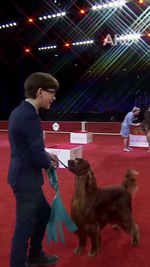 For the first time in history, the two top NOHS prizes went to Junior Handlers at the AKC National Championship presented by Royal Canin. | AKCtv