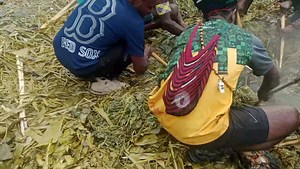 17 reactions · 3 comments | Masakan tradisional bakar batu ini babi enak banget yo coba rasa di bayangkan dulu gaes #papua #masaktradisional #bakarbatu | Telenggen Lanny | Facebook