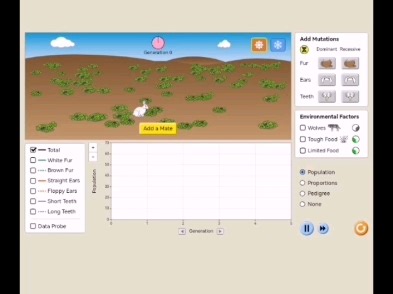 自然选择模拟器