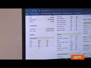 Accessing Genetic Test Results with SearchPoint® | Zoetis Livestock Genetics