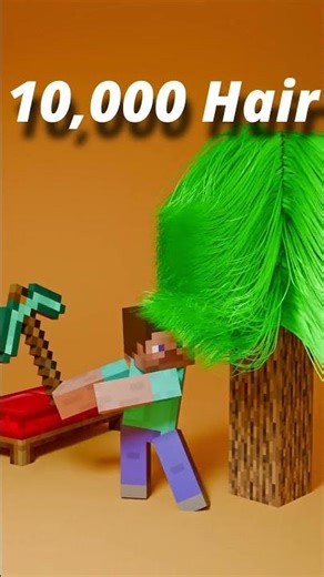 Minecraft Hair Simulation