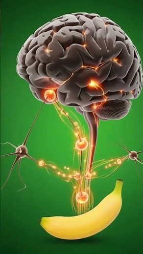What Happens to Your Body When You Eat a Banana | Inside Your Digestive System #humanbody #nutrition