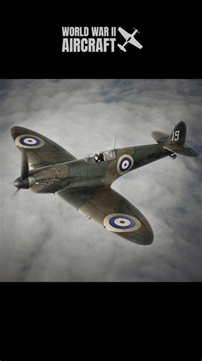 The Supermarine Spitfire is one of the most iconic fighter aircraft of World War II, renowned for its agility, speed, and critical role in the Battle of Britain. Designed by R.J. Mitchell, the Spitfire featured a distinctive elliptical wing design that contributed to its excellent maneuverability at high speeds. With its powerful Rolls-Royce Merlin engine, the Spitfire could reach speeds over 360 mph, making it a formidable opponent in air combat. #ww2 #military #aviation | World War II Aircraft