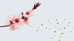 Here's how to combat the severe allergy season triggered by early spring flowers