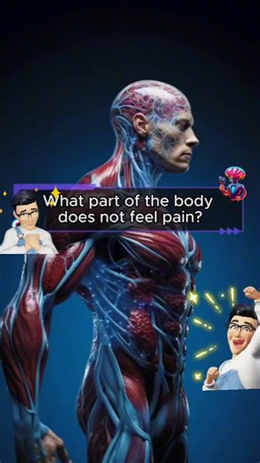 Science Quizlet ♥️🤞 #PadayonCamarines #PadayonLang #QuizPhilippines #History #KnowledgeIsPower #fbreelsvideo #fbreels #fbreelsph #fbviralreels #fbviral | Padayon PH