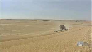 10K views · 354 reactions | All that rich soil that makes up the...