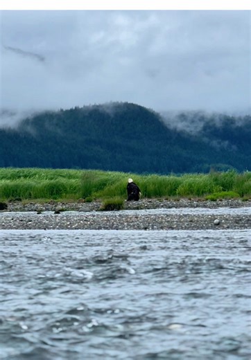 Soothing wind and flowing water. 💧🌬️🦅🏔️ Let the sounds of Alaska take you away as a magestic eagle patiently waits. Looking for a summer vacation destination? #bucketlist2026 #asmr #waterasmr #juneaualaska #traveljuneau