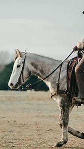 138 reactions · 40 shares | This week at the 2025 THSRA State Finals, the inaugural Carson Hicks Memorial Scholarship was awarded in honor of Carson’s legacy. #livelikecarson | Texas High School Rodeo Association | Facebook