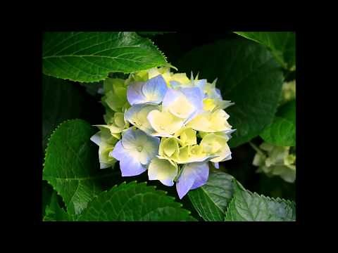 辻指導会２