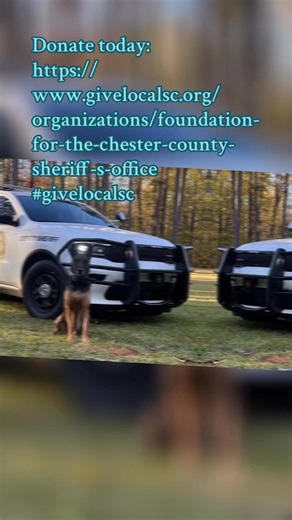 43 reactions · 11 shares |  Back the paws that protect our laws. DONATE NOW! https://www.givelocalsc.org/organizations/foundation-for-the-chester-county-sheriff-s-office | Foundation for the Chester County Sheriff’s Office | Facebook