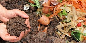 Estos son los tipos de compost que existen y sus diferencias