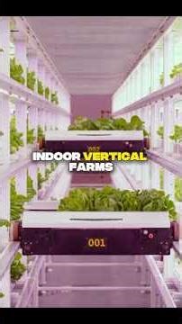 3 Cutting-Edge Uses of AI in Modern Farming