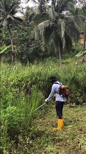 This Machine Obliterates Tall Grass! 😱🔥 Watch Grass Disappear Instantly! ⚡