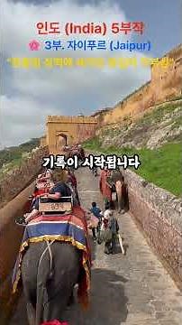 ['페이지 너머의 풍경][인도 (India) 5부작 시리즈]🌸 3부. 자이푸르 (Jaipur) - "분홍빛 성벽에 새겨진 왕실의 자부심"