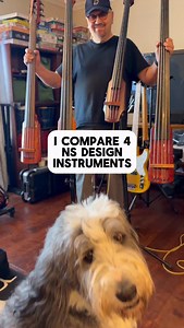 We test 4 NS Design instruments in this reel. The last one is an NS WAV cello 4 string with bass flats. These are all great instruments but let know which you like best! #nsdesign #ninomute #bassmutes #bassmutes #uprightbassmute #eub #eubmutes | NinoMute