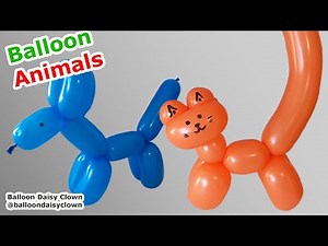 Balloon Cat and Balloon Dog - Balloon Animals for Beginners