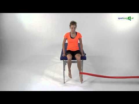 Exercise: hip exorotators