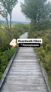 7K views · 3.5K reactions | I don’t know what it is about a boardwalk...