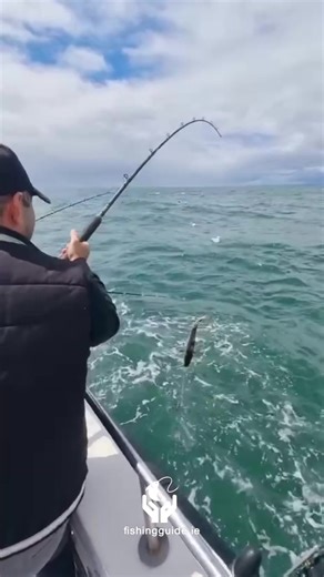 FishingGuide.ie na TikTok