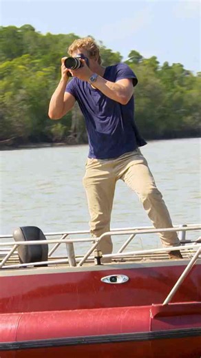 How compassion met resistance in one bird’s fight to survive