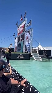 🇺🇸 💦 Dogdiving – the ultimate summer sport that makes you wanna jump in yourself! From splash-happy Retrievers and wild Border Collies to – of course – the fearless Malinois! 🐕‍🦺🚀 You’ll find every breed on the dock. But have you spotted the real underdogs? Corgis, Ridgebacks, or even sighthounds with sky-high ambitions? 😄 Have you ever tried it? Or is it still sitting on your bucket list for this summer? ☀️ 👉 For those ready to give it a go: Where? When? How? What does it cost? Are ther