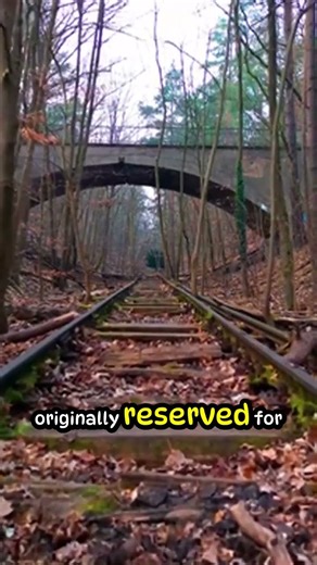 Why WiFi Signals Use 2.4 GHz