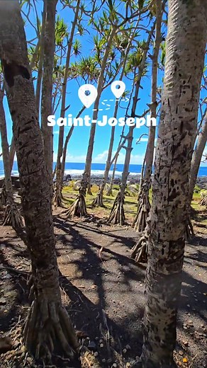 Bonjour La Réunion 🌿🌊 Bonjour zot tout 🇷🇪 Aujourd'hui, direction le sud sauvage pour en prendre plein les sens ☀️ La marine Vincendo est un lieu que j'adore à Saint-Joseph 🌿 Nature, pique-nique, contemplation, détente, pêche, marche ou encore sport... sont au programme. 💬 Dites nous si vous connaissez... Belle journée ☀️ Profitez bien 💥 #SaintJoseph #MarineVincendo #nature #lareunion #IledeLaRéunion | Guide Réunion