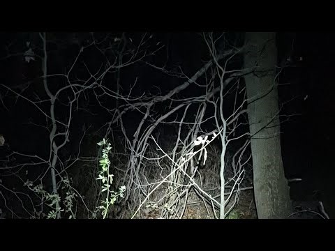 The CameraMan is live on location