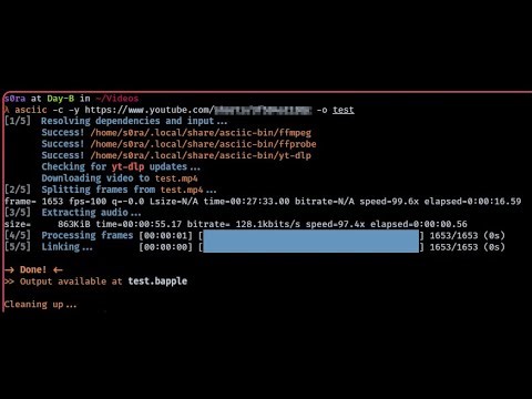 I Cooked A New UI For My Video-To-ASCII Compiler!