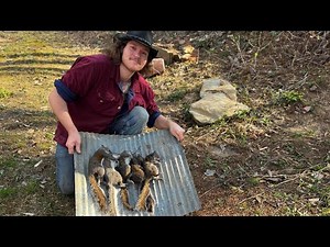 “From Forest to Jerky: Squirrel Hunting & DIY Squirrel Jerky!”
