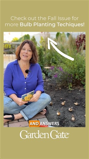 1.4K views · 18 reactions | Q&A: How do I get my daffodils to naturalize? 樂 Kristin shares tips to help your daffodil bulbs multiply into bigger clumps over time, plus what to look for when shopping.⁠ ⁠ ⁠#springbulbs #gardentips #gardeninspiration #daffodils | Garden Gate Magazine | Facebook